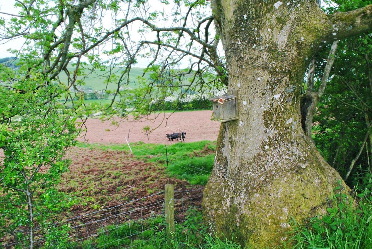 Eco Cottage Joe The Buck Craven Arms Exterior photo